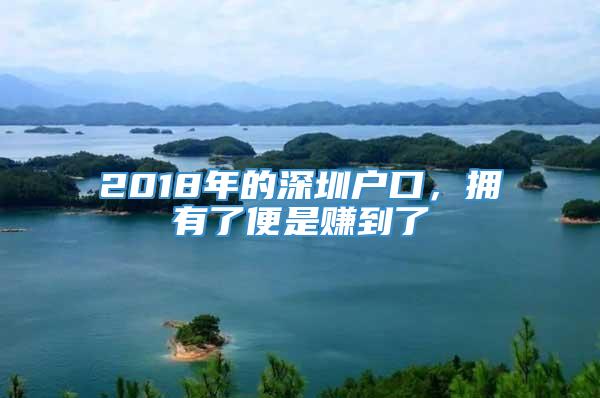 2018年的深圳户口，拥有了便是赚到了