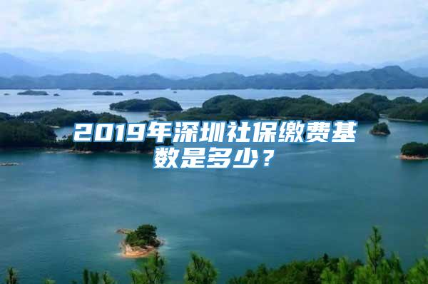 2019年深圳社保缴费基数是多少？