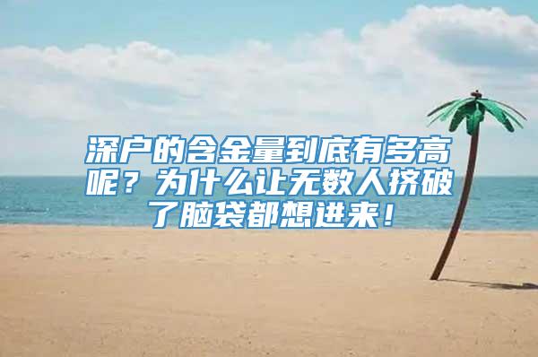 深户的含金量到底有多高呢？为什么让无数人挤破了脑袋都想进来！