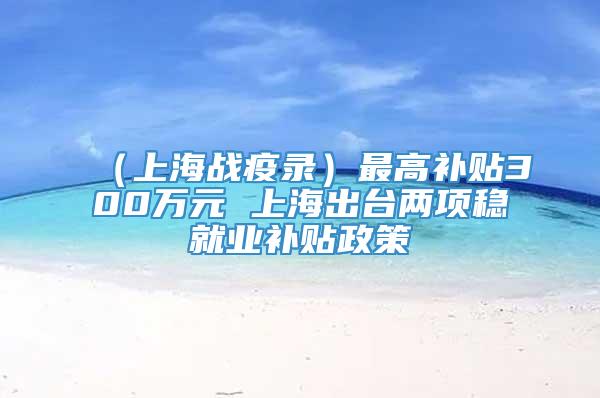 （上海战疫录）最高补贴300万元 上海出台两项稳就业补贴政策