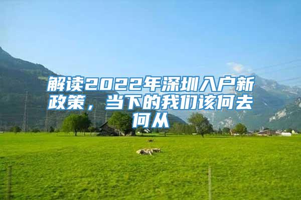 解读2022年深圳入户新政策，当下的我们该何去何从