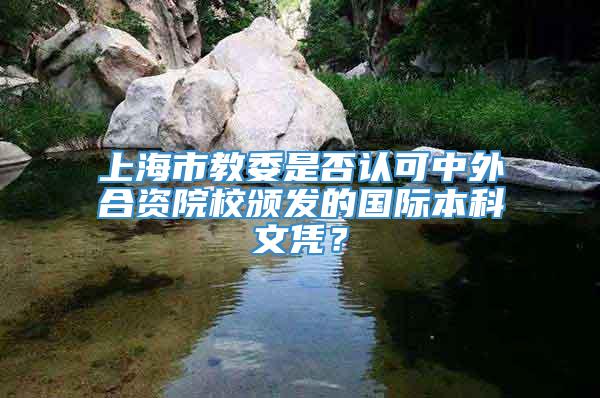 上海市教委是否认可中外合资院校颁发的国际本科文凭？
