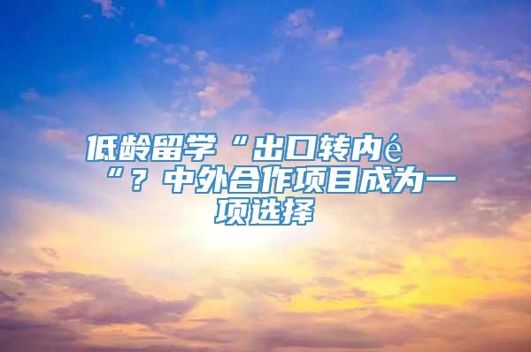 低龄留学“出口转内销“？中外合作项目成为一项选择