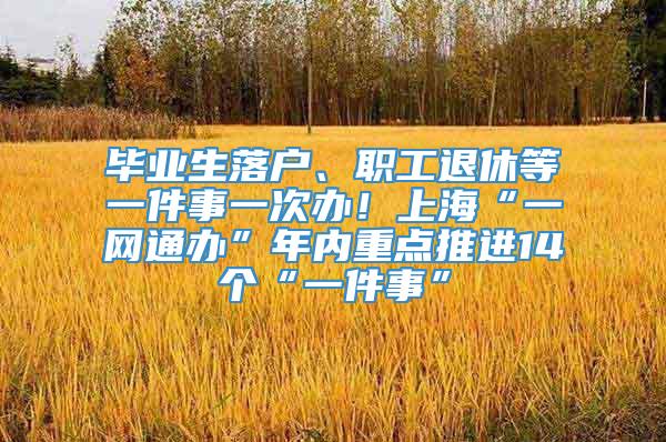 毕业生落户、职工退休等一件事一次办！上海“一网通办”年内重点推进14个“一件事”