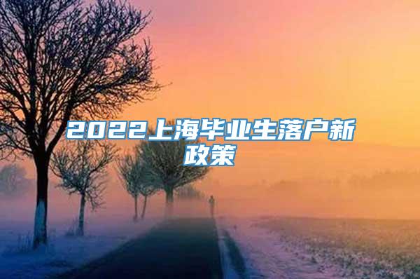 2022上海毕业生落户新政策