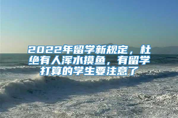 2022年留学新规定，杜绝有人浑水摸鱼，有留学打算的学生要注意了