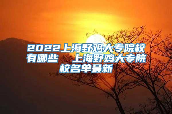 2022上海野鸡大专院校有哪些  上海野鸡大专院校名单最新