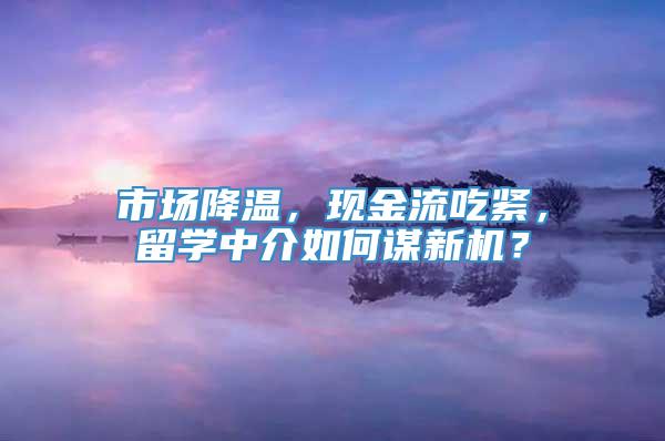 市场降温，现金流吃紧，留学中介如何谋新机？