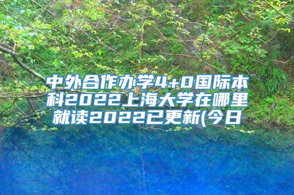 中外合作办学4+0国际本科2022上海大学在哪里就读2022已更新(今日