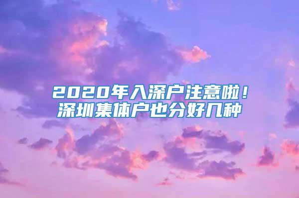 2020年入深户注意啦！深圳集体户也分好几种