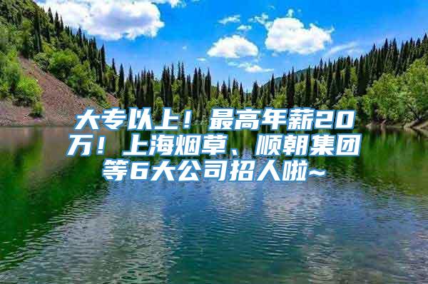 大专以上！最高年薪20万！上海烟草、顺朝集团等6大公司招人啦~