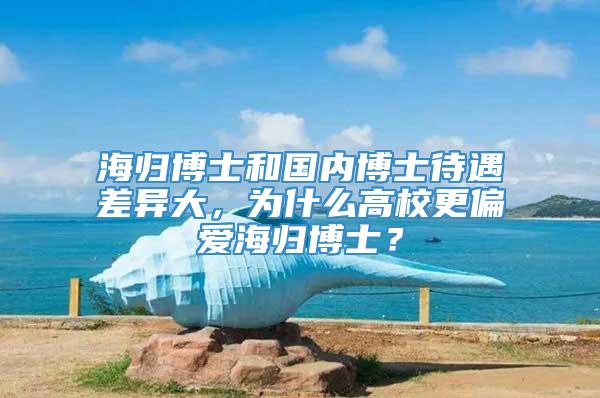 海归博士和国内博士待遇差异大，为什么高校更偏爱海归博士？