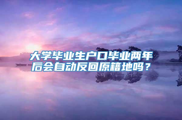 大学毕业生户口毕业两年后会自动反回原籍地吗？