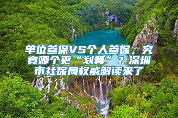 单位参保VS个人参保，究竟哪个更“划算”？深圳市社保局权威解读来了