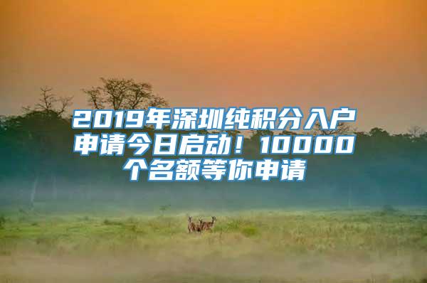 2019年深圳纯积分入户申请今日启动！10000个名额等你申请