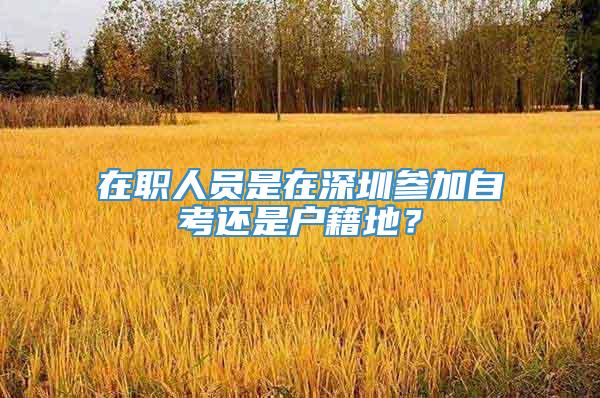 在职人员是在深圳参加自考还是户籍地？