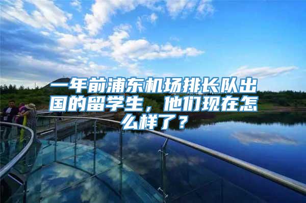 一年前浦东机场排长队出国的留学生，他们现在怎么样了？