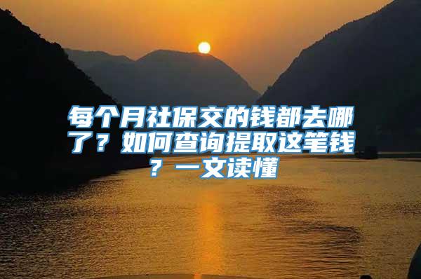 每个月社保交的钱都去哪了？如何查询提取这笔钱？一文读懂