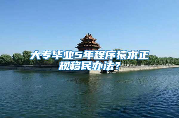 大专毕业5年程序猿求正规移民办法？