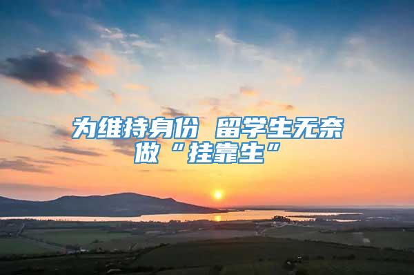 为维持身份 留学生无奈做“挂靠生”