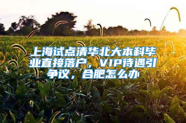 上海试点清华北大本科毕业直接落户，VIP待遇引争议，合肥怎么办