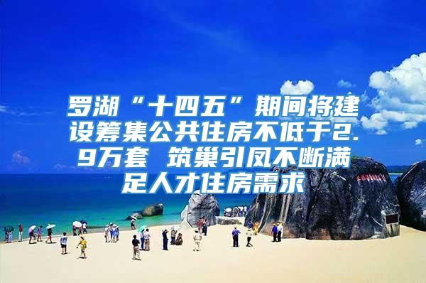 罗湖“十四五”期间将建设筹集公共住房不低于2.9万套 筑巢引凤不断满足人才住房需求