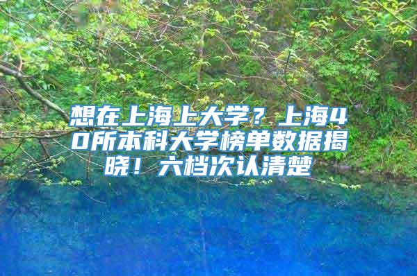 想在上海上大学？上海40所本科大学榜单数据揭晓！六档次认清楚