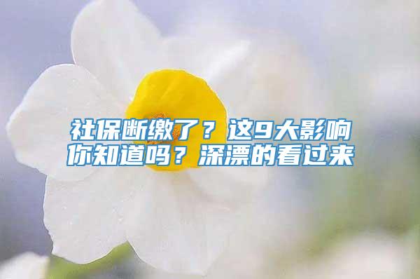 社保断缴了？这9大影响你知道吗？深漂的看过来