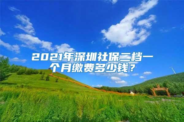 2021年深圳社保二档一个月缴费多少钱？