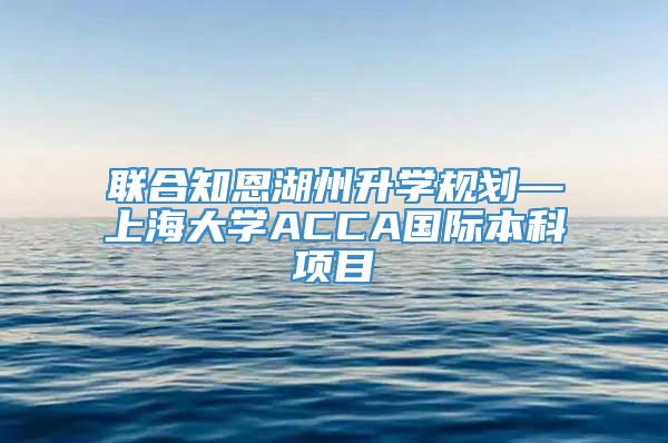 联合知恩湖州升学规划—上海大学ACCA国际本科项目