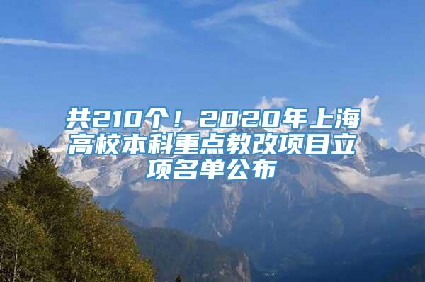 共210个！2020年上海高校本科重点教改项目立项名单公布