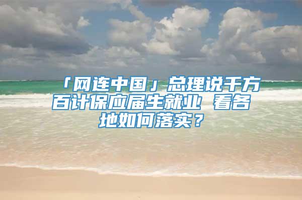 「网连中国」总理说千方百计保应届生就业 看各地如何落实？