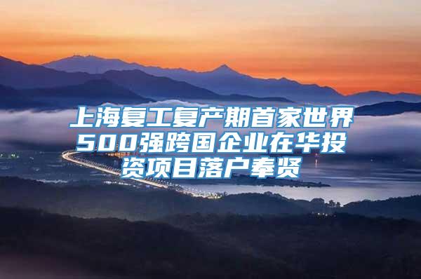 上海复工复产期首家世界500强跨国企业在华投资项目落户奉贤