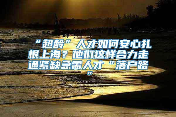 “超龄”人才如何安心扎根上海？他们这样合力走通紧缺急需人才“落户路”