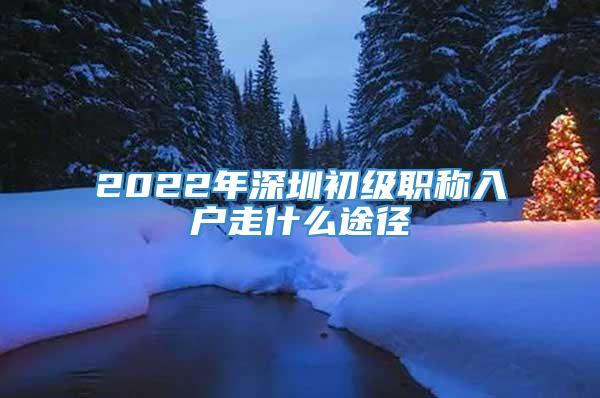 2022年深圳初级职称入户走什么途径