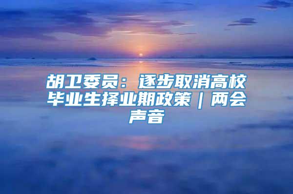 胡卫委员：逐步取消高校毕业生择业期政策｜两会声音