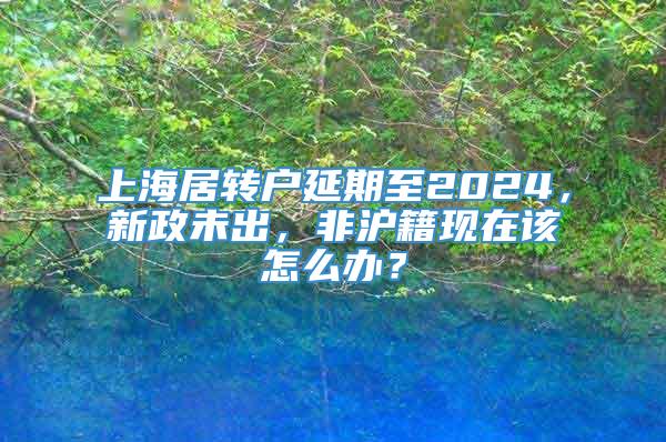 上海居转户延期至2024，新政未出，非沪籍现在该怎么办？