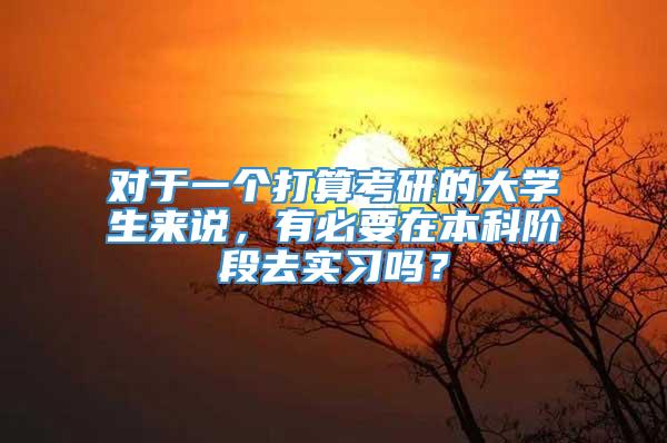 对于一个打算考研的大学生来说，有必要在本科阶段去实习吗？