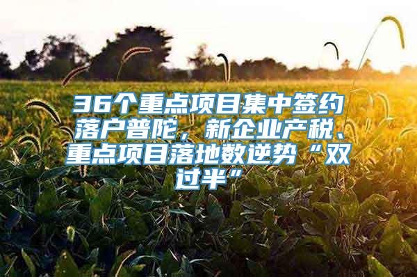 36个重点项目集中签约落户普陀，新企业产税、重点项目落地数逆势“双过半”