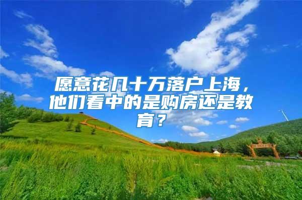 愿意花几十万落户上海，他们看中的是购房还是教育？