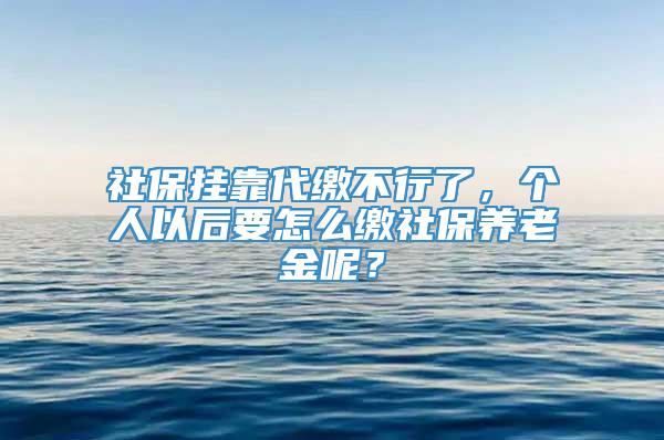 社保挂靠代缴不行了，个人以后要怎么缴社保养老金呢？