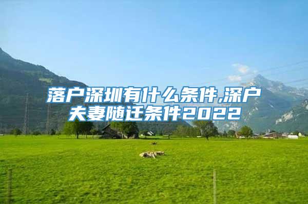 落户深圳有什么条件,深户夫妻随迁条件2022