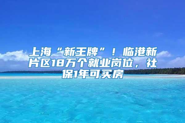 上海“新王牌”！临港新片区18万个就业岗位，社保1年可买房