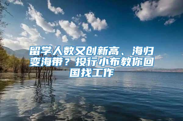 留学人数又创新高、海归变海带？投行小布教你回国找工作