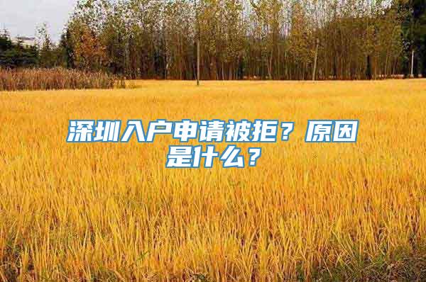 深圳入户申请被拒？原因是什么？