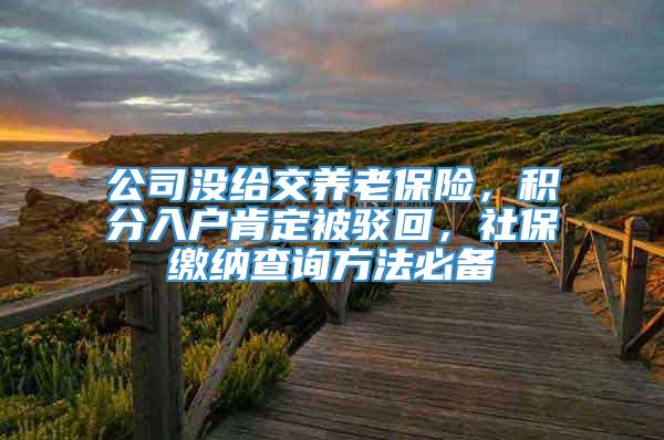 公司没给交养老保险，积分入户肯定被驳回，社保缴纳查询方法必备