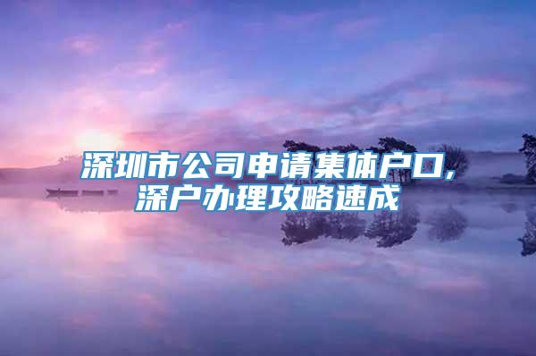 深圳市公司申请集体户口,深户办理攻略速成