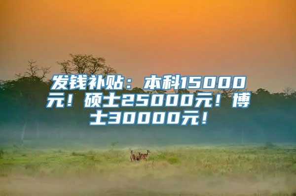 发钱补贴：本科15000元！硕士25000元！博士30000元！