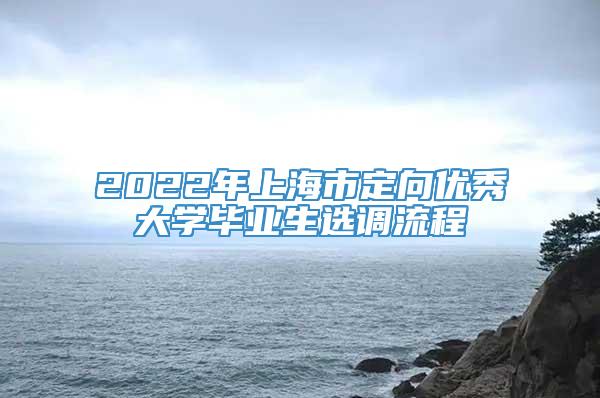 2022年上海市定向优秀大学毕业生选调流程