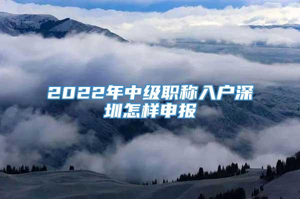 2022年中级职称入户深圳怎样申报